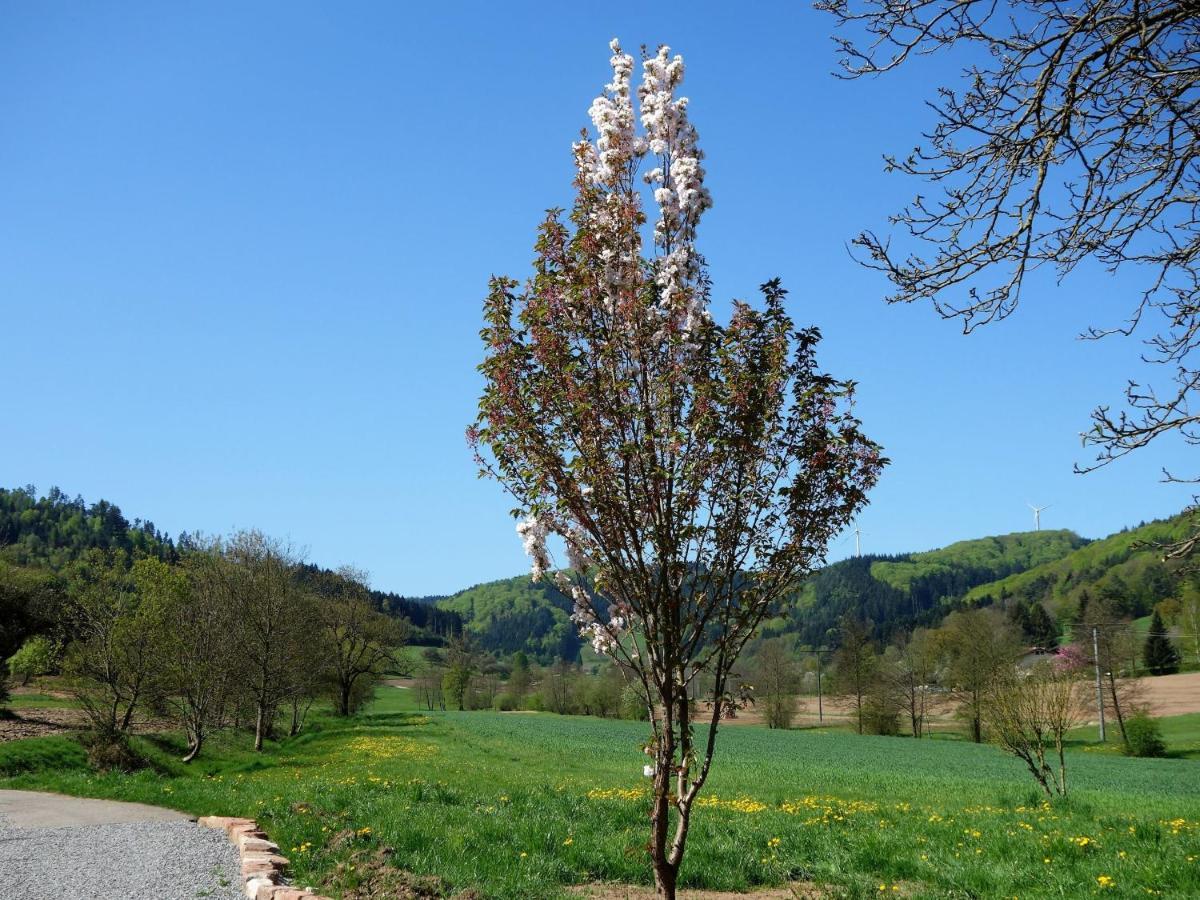 Ferienwohnungen Braun Seelbach (Baden-Wurttemberg) Exterior foto