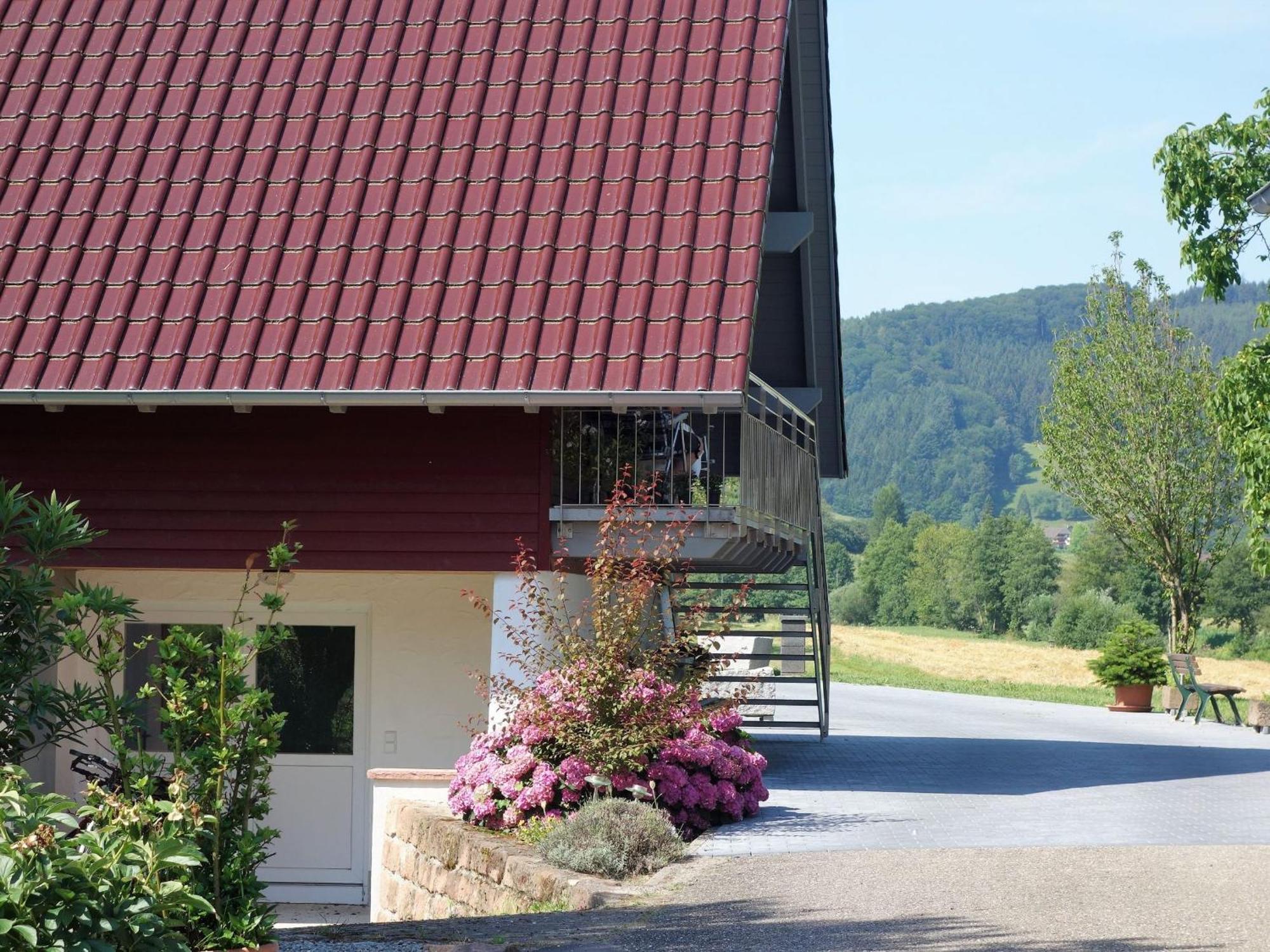 Ferienwohnungen Braun Seelbach (Baden-Wurttemberg) Exterior foto